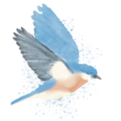 Winning illustration for The Bluebird
